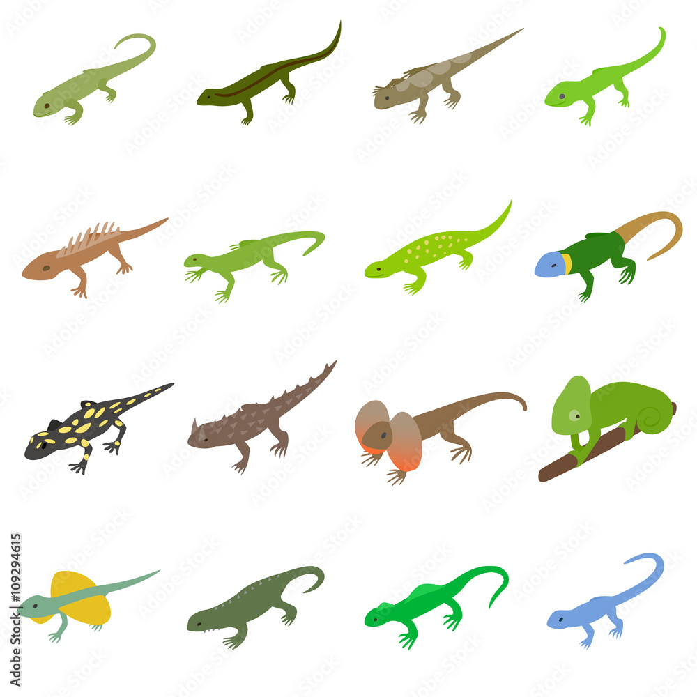 Lizard icons set, isometric 3d style Lizard icons set, isometric 3d style
