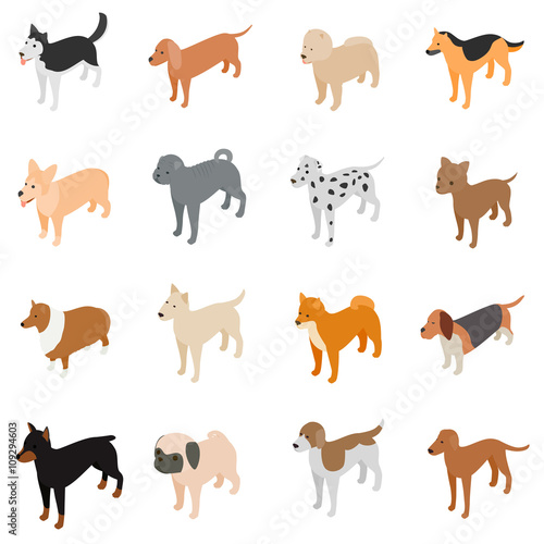 Dog icons set, isometric 3d style