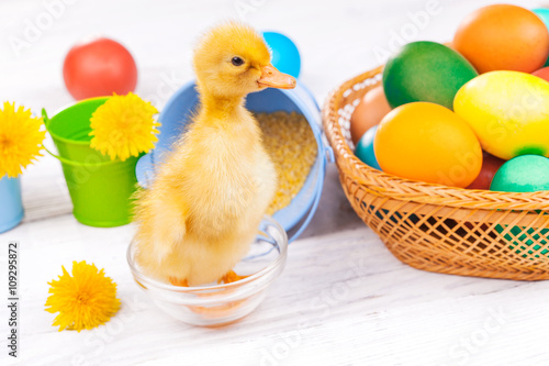 small duckling with easter eggs © Dmytro Titov