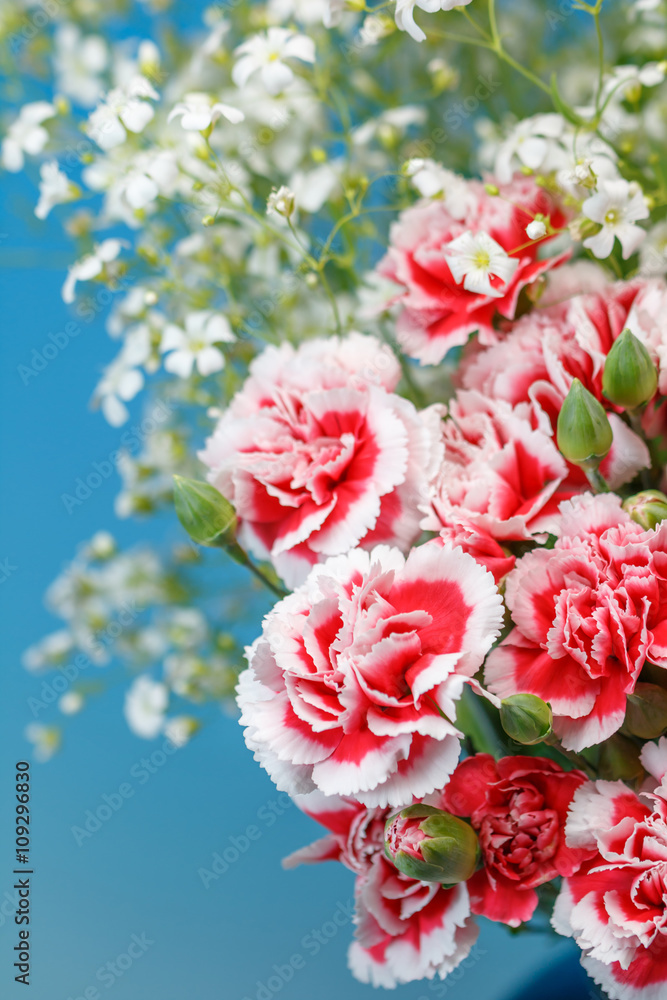カーネーションの花 カーネーションの花