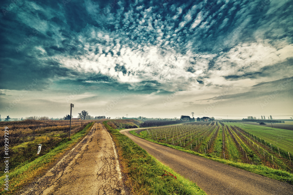 A dirt road in the countryside