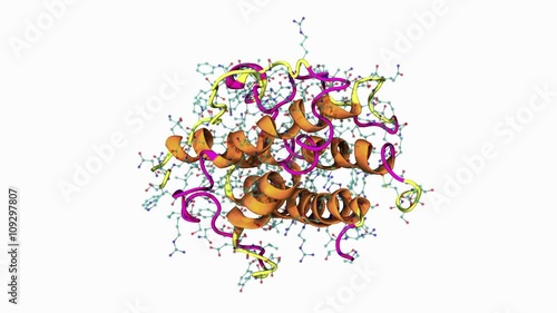 Human growth hormone photo