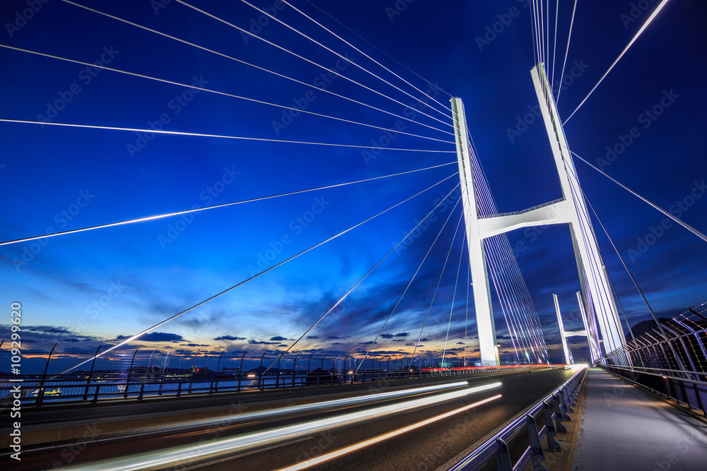 Obraz premium 女神大橋の夜景＠長崎市