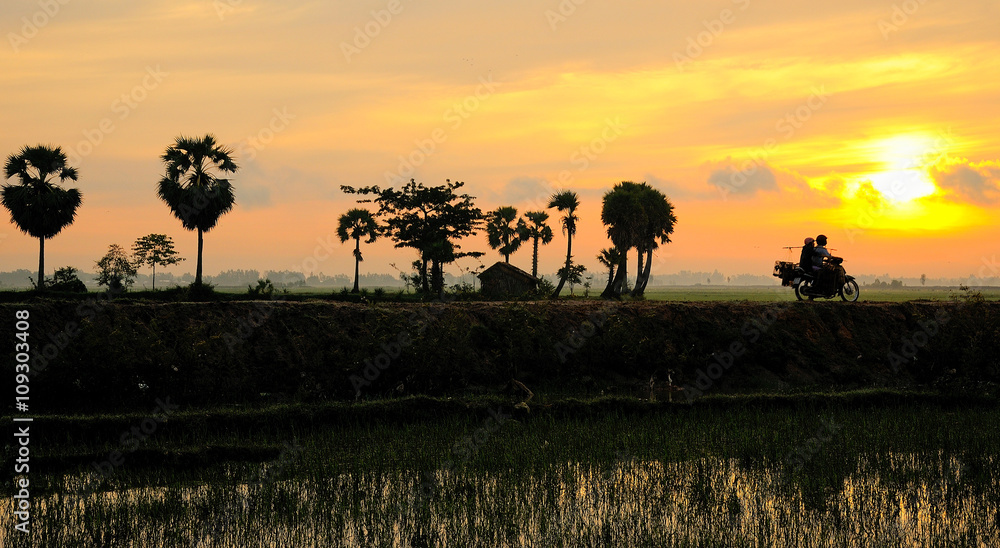Beautiful countryside landscape at sunrise in Mekong Delta, Vietnam