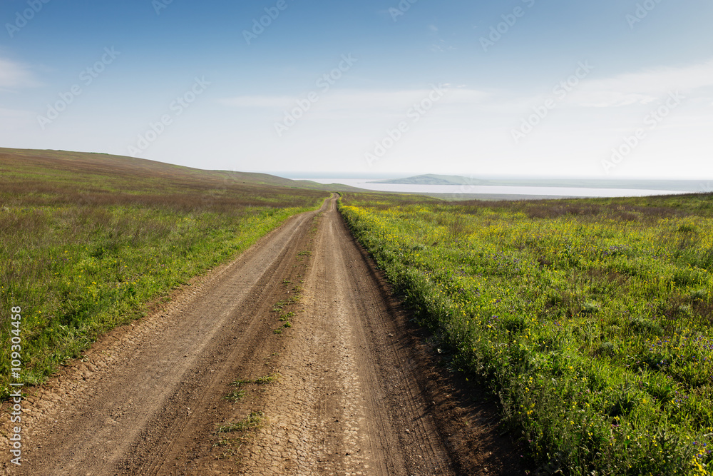 Dirt road in field leading to the sea