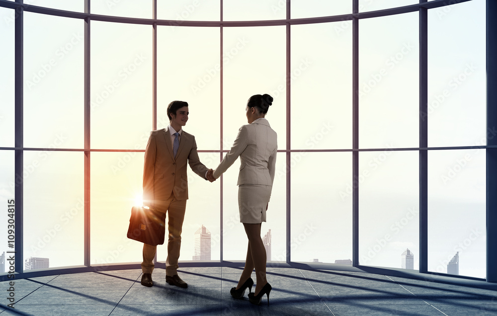 Business partners handshake Business partners handshake