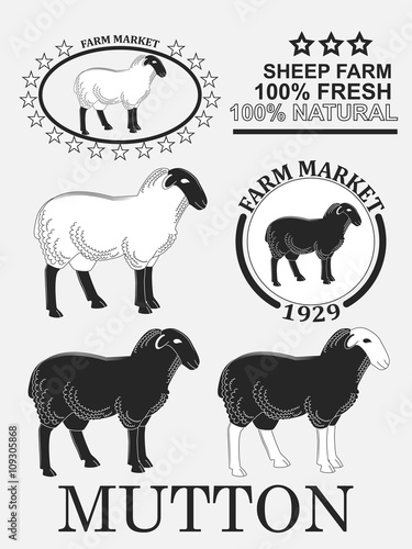 Set of premium lamb labels, mutton, badges and design elements. Vector photo