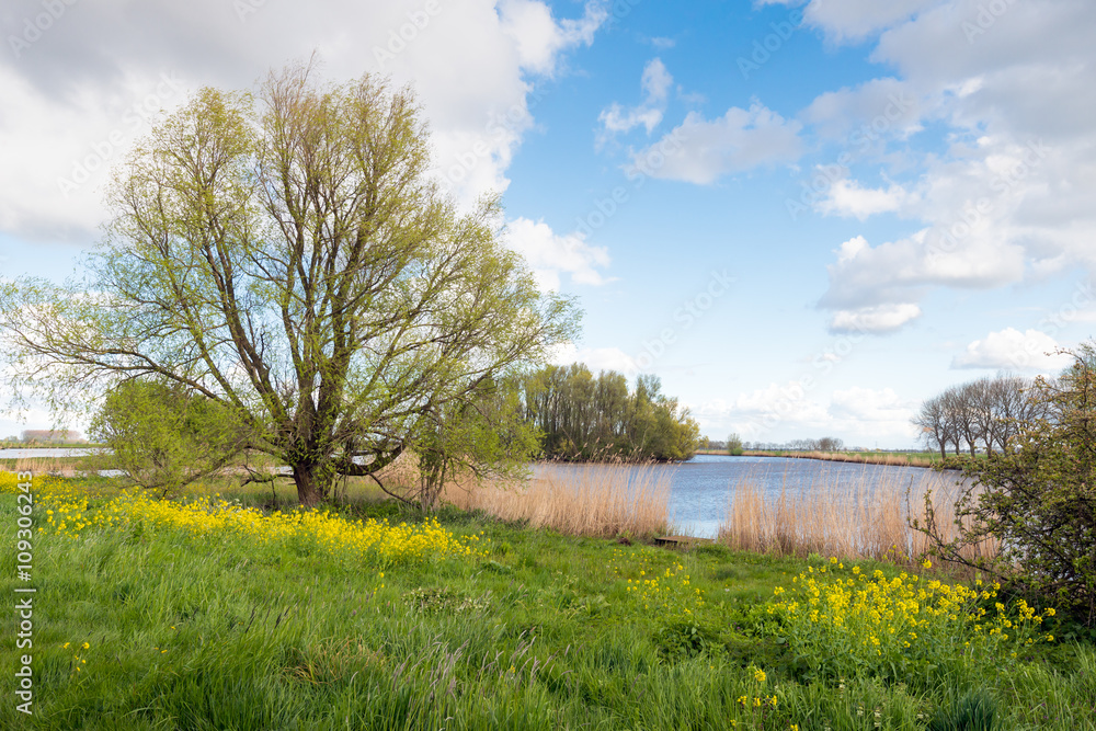 Rural landscape with bare, budding and blossoming trees Rural landscape with bare, budding and blossoming trees