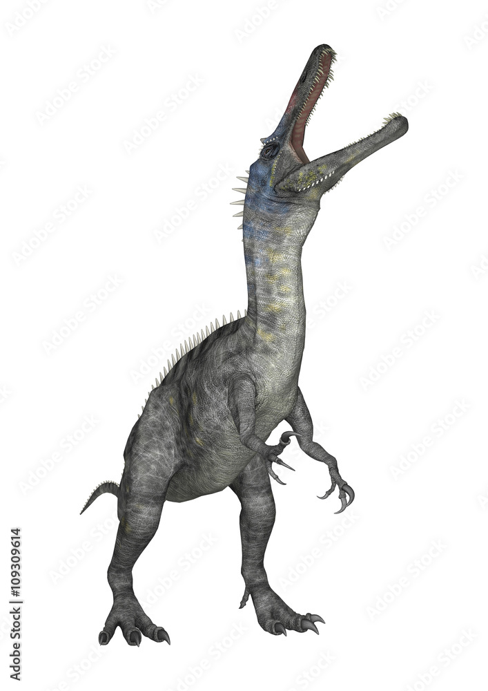 3D Rendering Dinosaur Suchomimus on White 3D Rendering Dinosaur Suchomimus on White