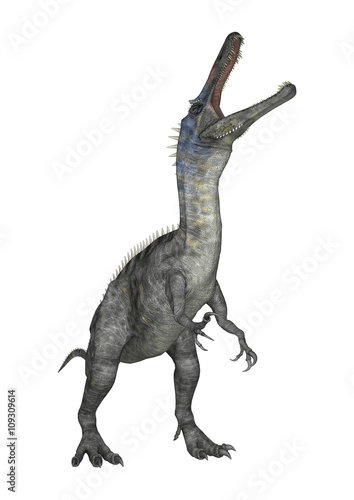3D Rendering Dinosaur Suchomimus on White © photosvac