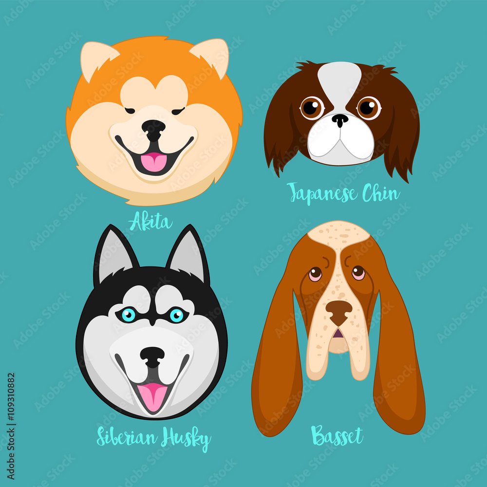Different breeds of dogs Different breeds of dogs