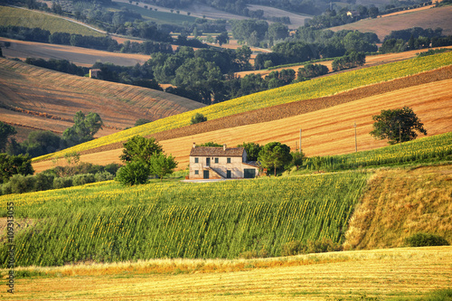 Country landscape in Marches  Italy 