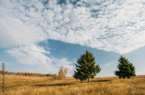 Autumn landscape