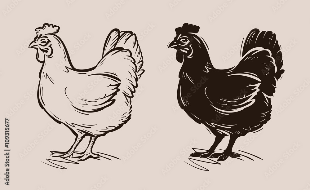 chicken vector logo. farm, poultry, hen, fowl icon chicken vector logo. farm, poultry, hen, fowl icon