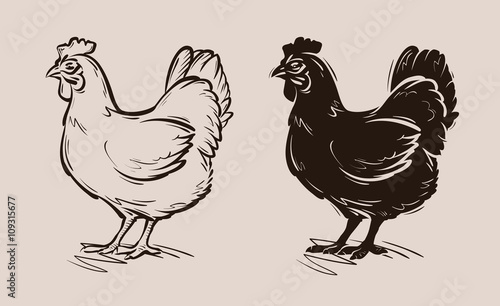 Vászonkép chicken vector logo. farm, poultry, hen, fowl icon
