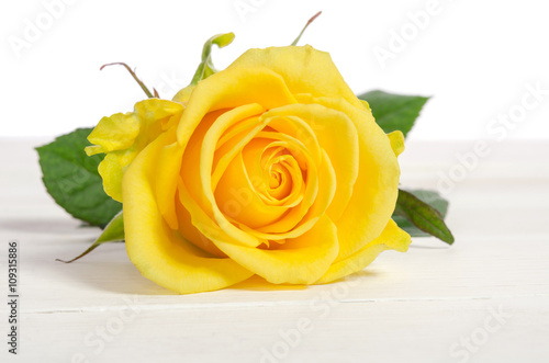 Yellow rose isolated on white table