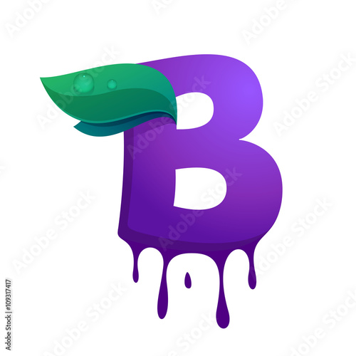 B letter with blueberry juice drops and leaves.