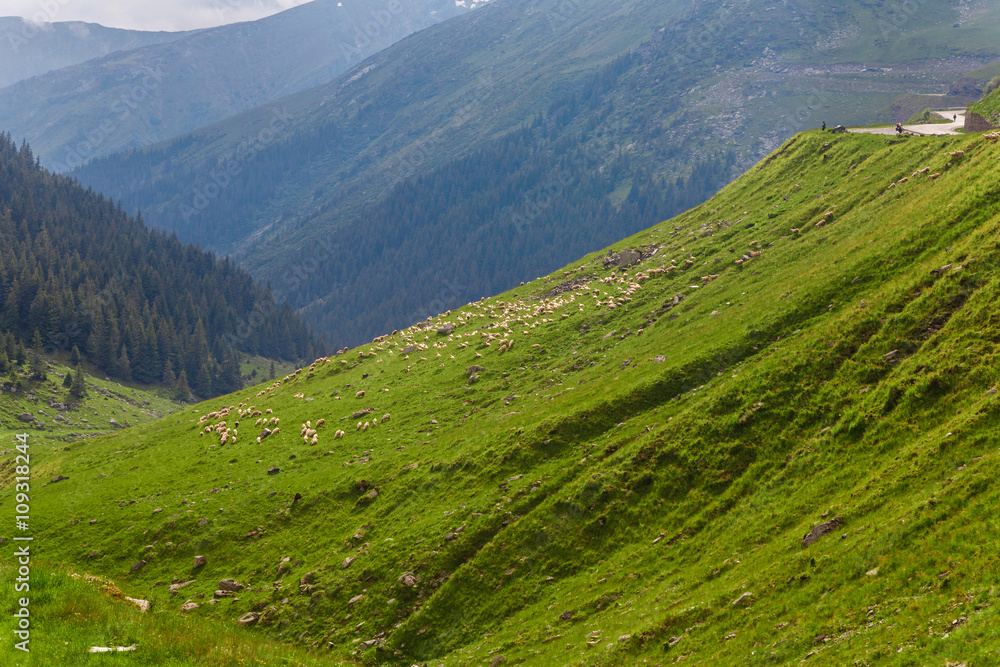 Cloudy sky over motorcycle roads in Carpathians, Romania