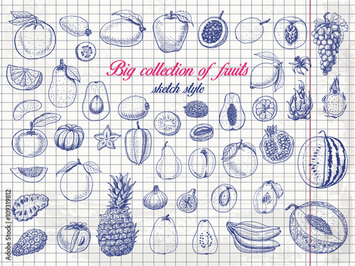 Big collection of fruits on paper