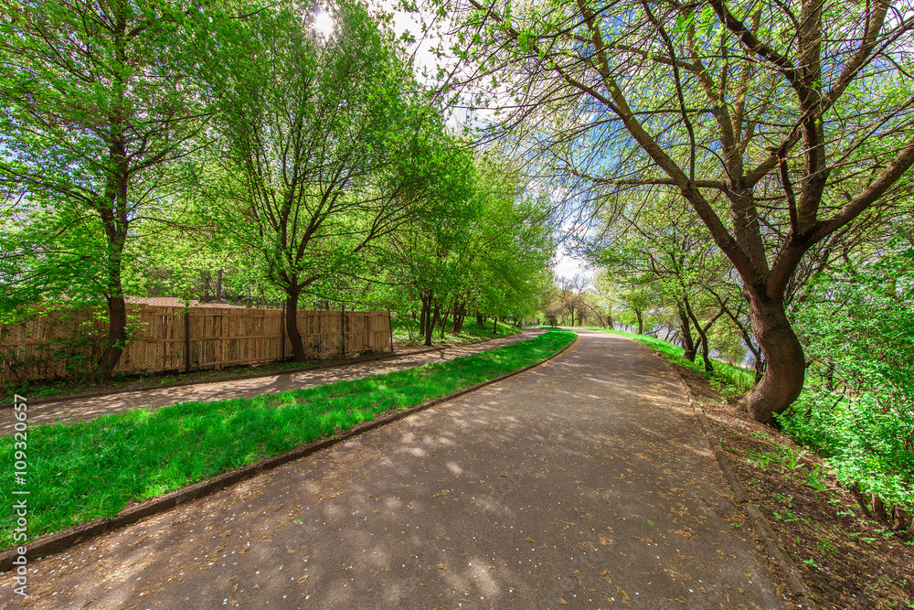 beautiful avenue in to the park beautiful avenue in to the park