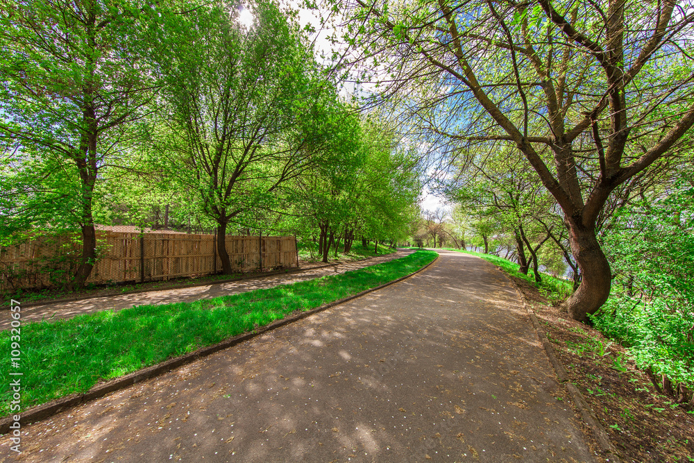 beautiful avenue in to the park