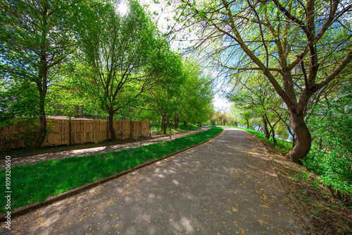 beautiful avenue in to the park