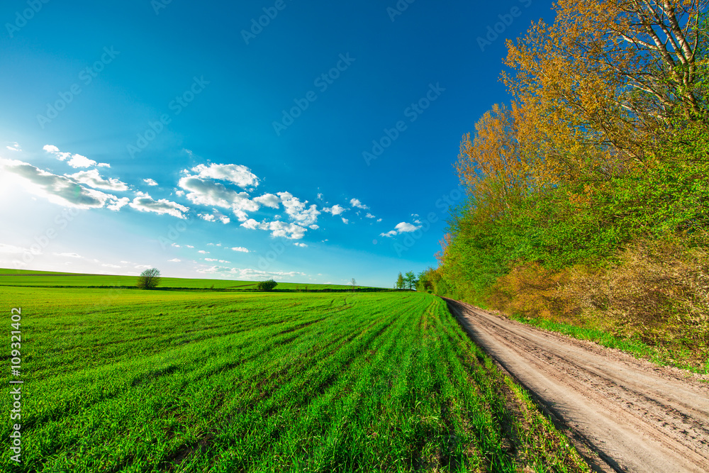 Beatiful morning green field with blue heaven Beatiful morning green field with blue heaven