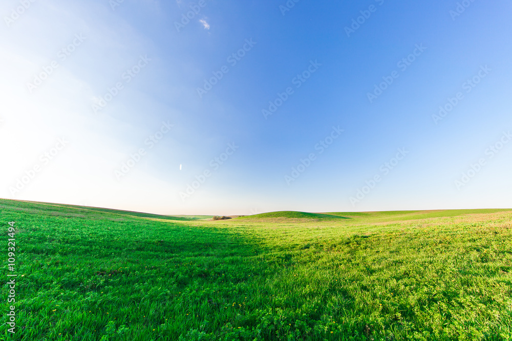 Fototapeta premium Green Field and Beautiful Sunset