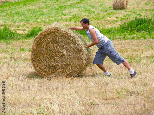 Preparation of hay.