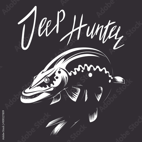 Pike vector illustration