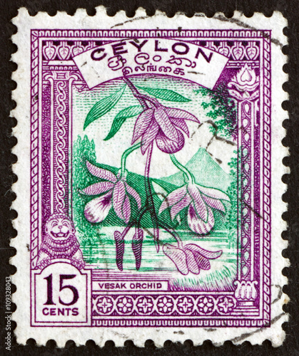 Postage stamp Sri Lanka 1950 Wesak Orchid