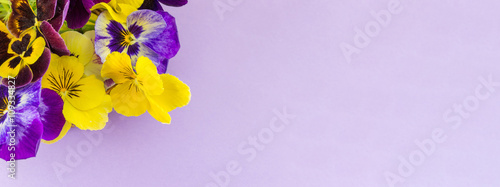 Violet and yellow flowers
