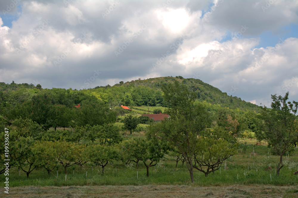 Countryside scene, Hungary