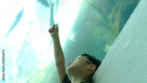Young asian boy watching fich in aquarium
