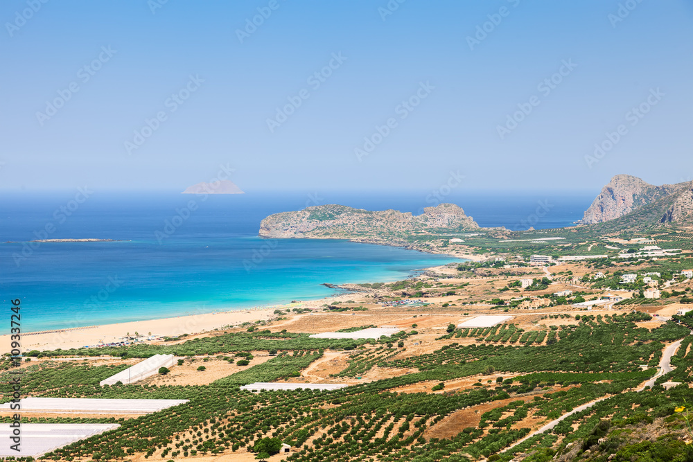 Plantations of olive trees next to the sea
