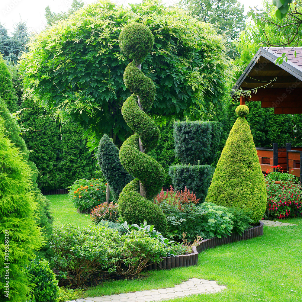 Fototapeta premium Strzyżone rośliny ozdobne w ogrodzie