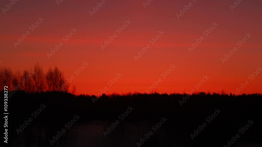 Forest silhouette at sunset. Red sunset over forest, sunset background. Forest background, forest silhouette. Forest sunset. Horizon line at sunset. Red sky. Beautiful evening sky with red sunset Forest silhouette at sunset. Red sunset over forest, sunset background. Forest background, forest silhouette. Forest sunset. Horizon line at sunset. Red sky. Beautiful evening sky with red sunset