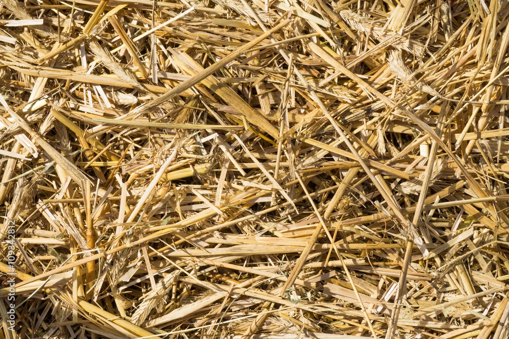 Pressed rye straw