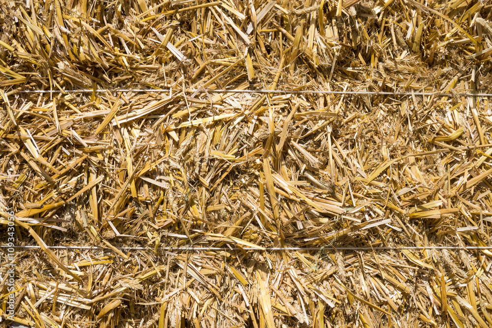 Pressed rye straw