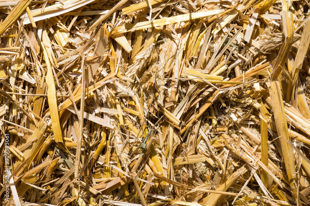 Pressed rye straw Pressed rye straw