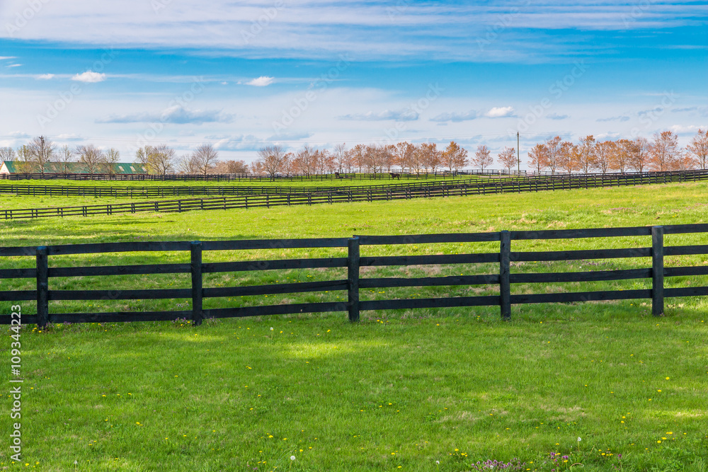 Green pastures of horse farms. Country spring landscape. - obrazy, fototapety, plakaty 