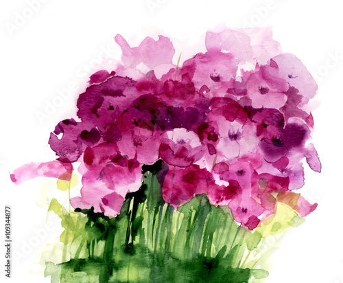 watercolor wildflowers on a white background