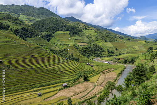 The beautiful rice paddy field during the trip  from HANOI to SAPA  VIETNAM on the middle of the September.