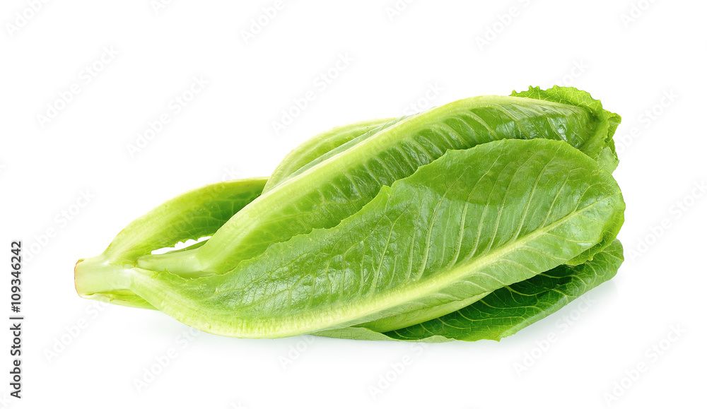 Cos Lettuce isolated on the white background Cos Lettuce isolated on the white background