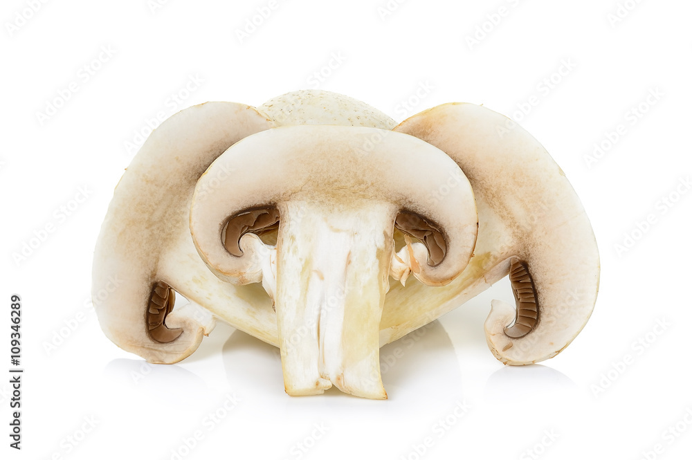 Champignon mushroom isolated on white background Champignon mushroom isolated on white background