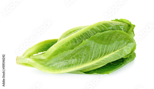 Cos Lettuce isolated on the white background