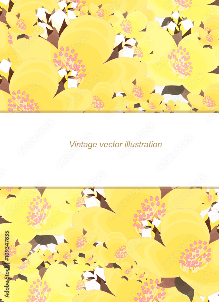 stripe pattern with jasmine for card. illustration