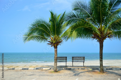 Fototapeta Naklejka Na Ścianę i Meble -  Bench near beach with green coconut tree