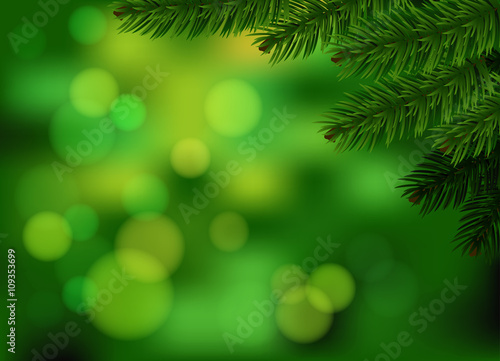 Green fir branch background