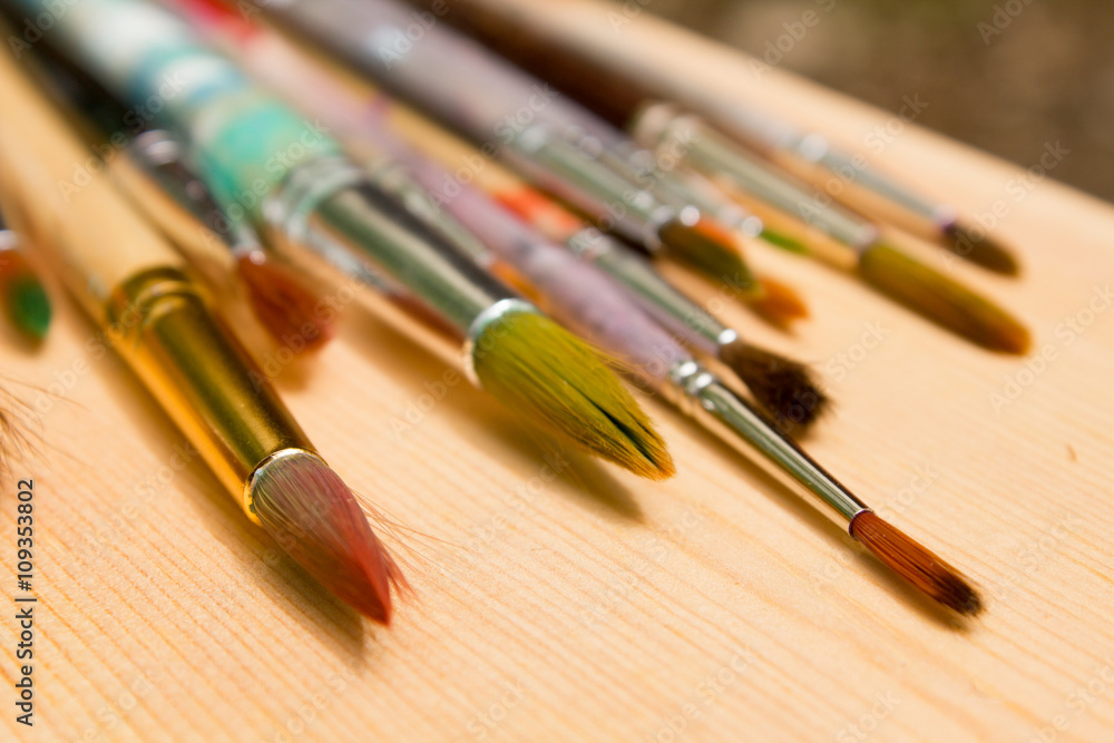 Paint brushes in the sun Paint brushes in the sun